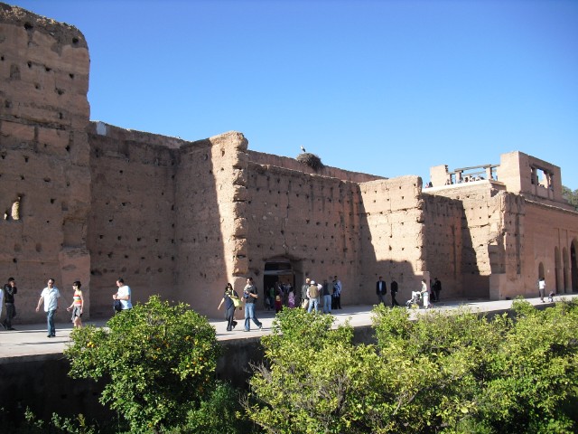 CIMG2287.jpg