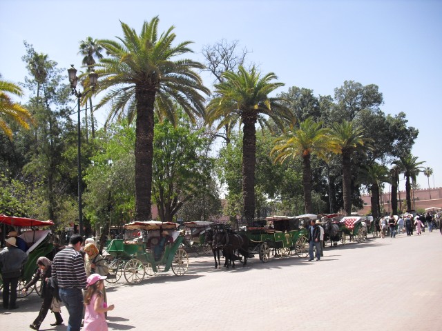 CIMG2356.jpg
