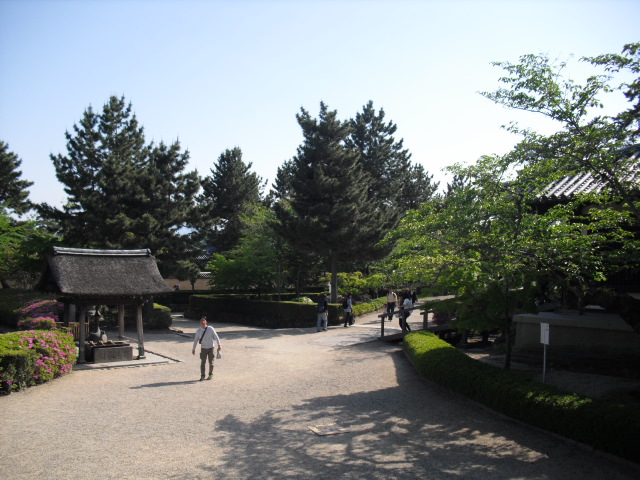 cimg7006.jpg
