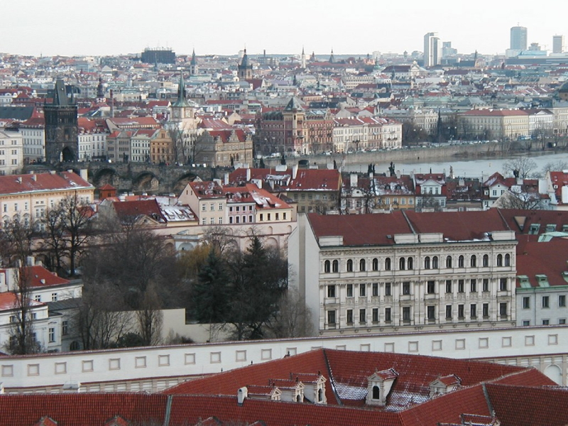 p1010431.jpg
