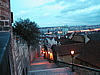 p1010388.jpg
