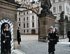 p1010485.jpg