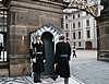 p1010487.jpg
