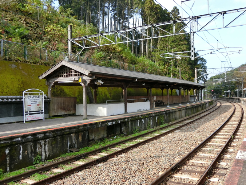 CIMG0907.JPG