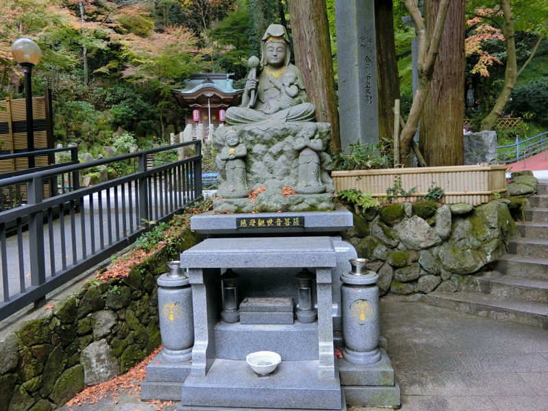 CIMG0911.JPG