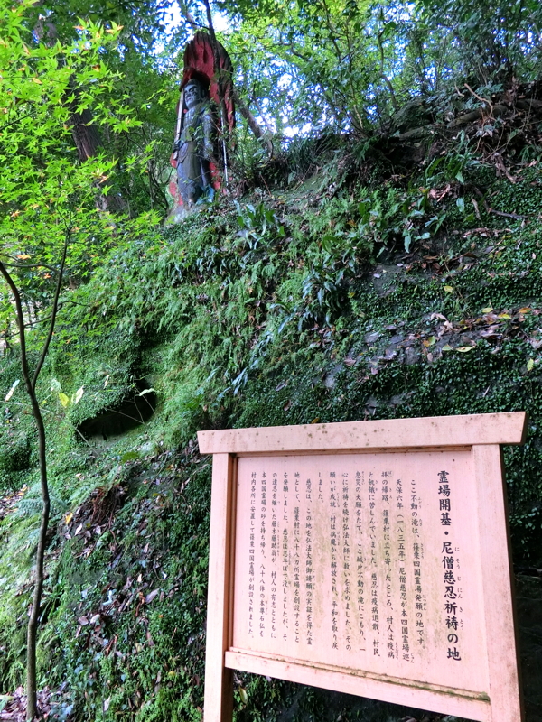 CIMG0915.JPG
