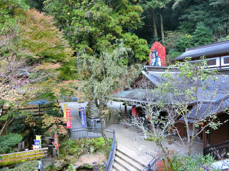 CIMG0925.JPG
