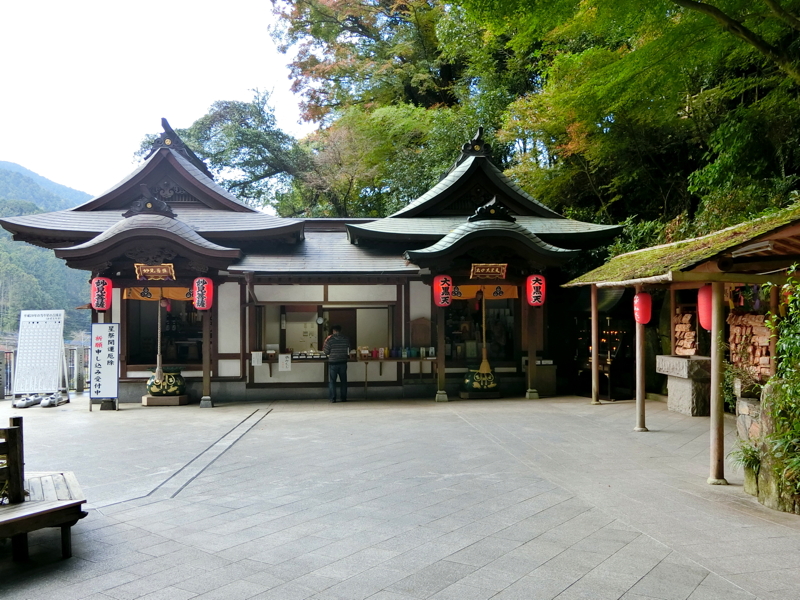 CIMG0934.JPG