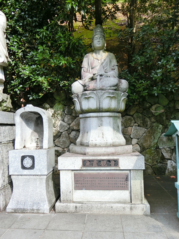 CIMG0945.JPG