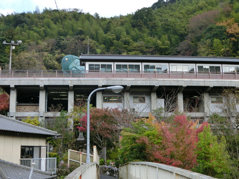 CIMG0950.JPG