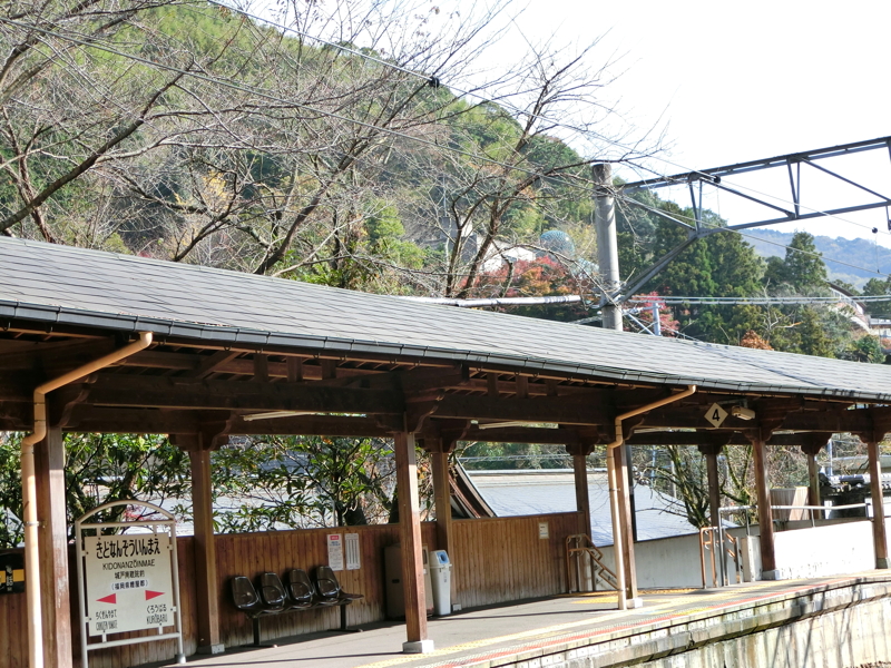 CIMG0960.JPG