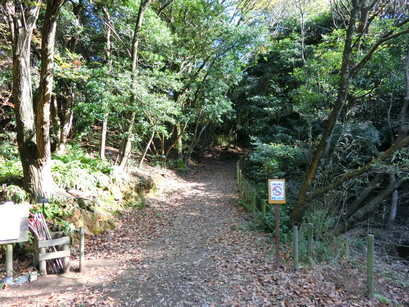 CIMG0966.JPG