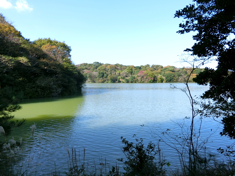 CIMG0967.JPG