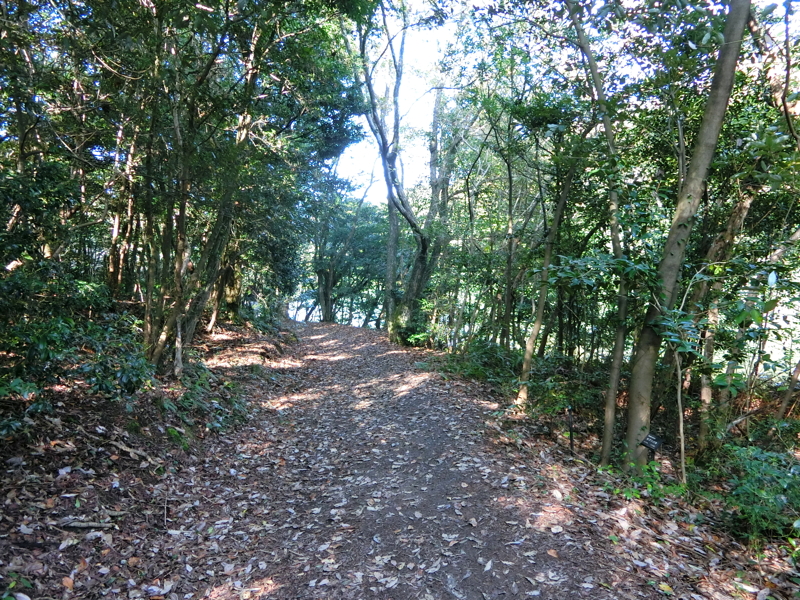 CIMG0968.JPG