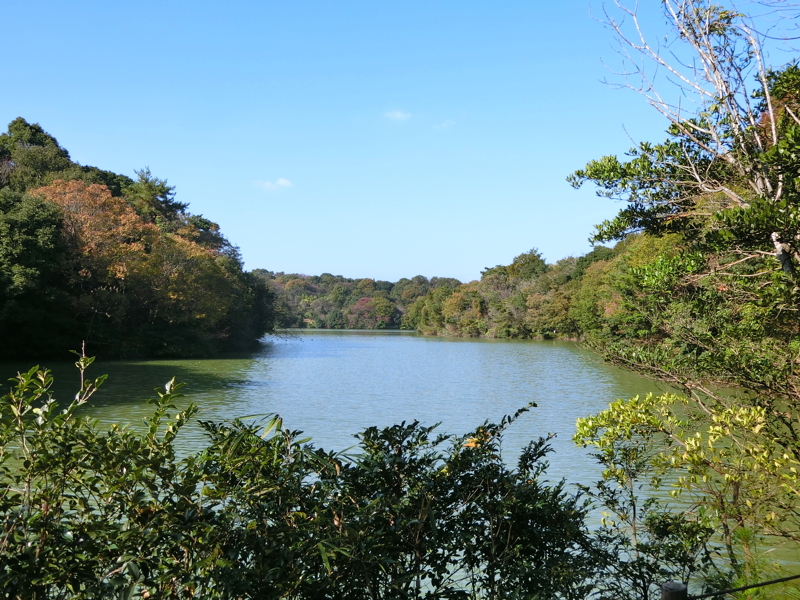 CIMG0972.JPG