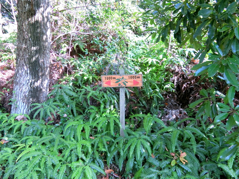 CIMG0974.JPG