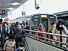 CIMG0904.JPG