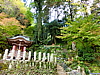CIMG0914.JPG