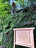 CIMG0915.JPG