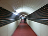 CIMG0929.JPG