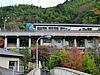 CIMG0950.JPG
