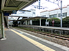 CIMG0962.JPG