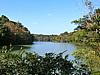 CIMG0972.JPG