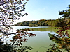 CIMG0978.JPG