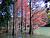 CIMG0985.JPG