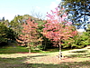 CIMG0988.JPG