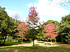 CIMG0991.JPG