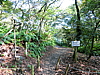 CIMG0996.JPG