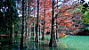 DSC_0141.jpg