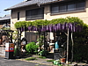 cimg8212.jpg