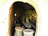 cimg8233.jpg