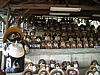 cimg8238.jpg