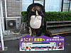 cimg8259.jpg