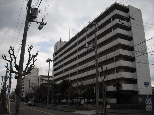 CIMG4317.jpg