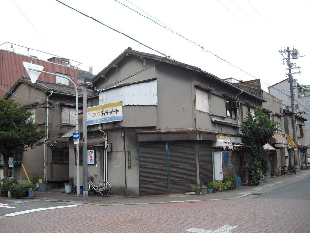 CIMG4319.jpg