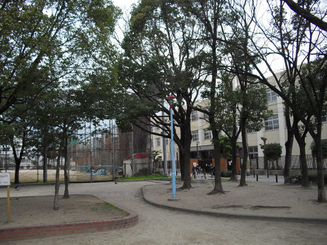 CIMG4325.jpg