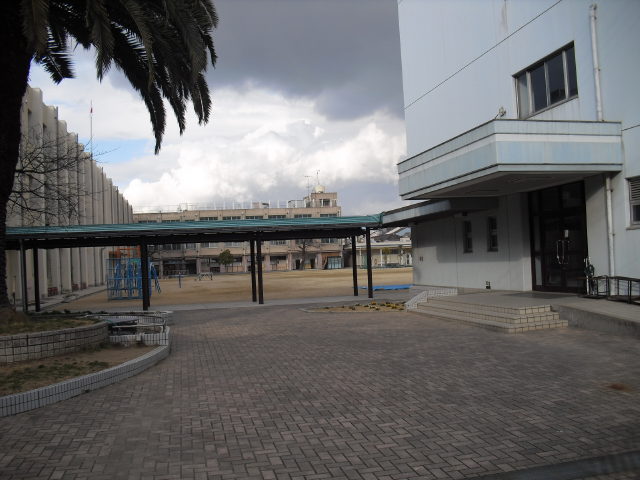 CIMG4349.jpg