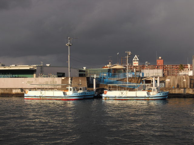 CIMG4364.jpg