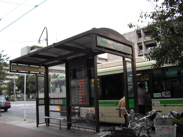 CIMG4368.jpg