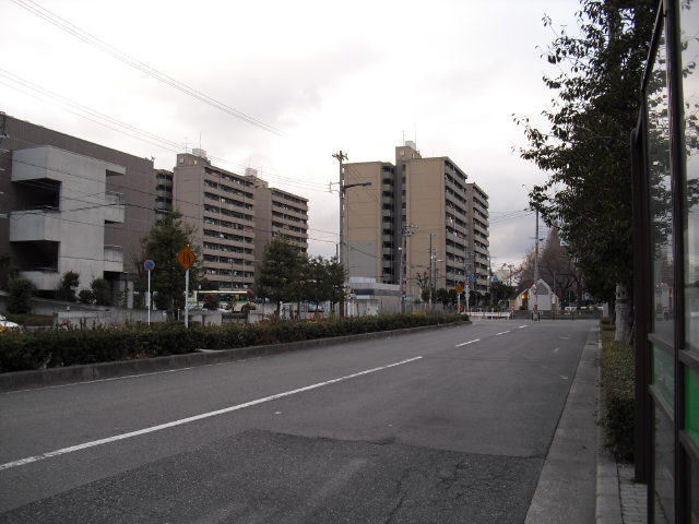 CIMG4375.jpg
