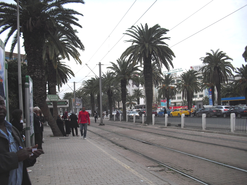 CIMG7650.JPG