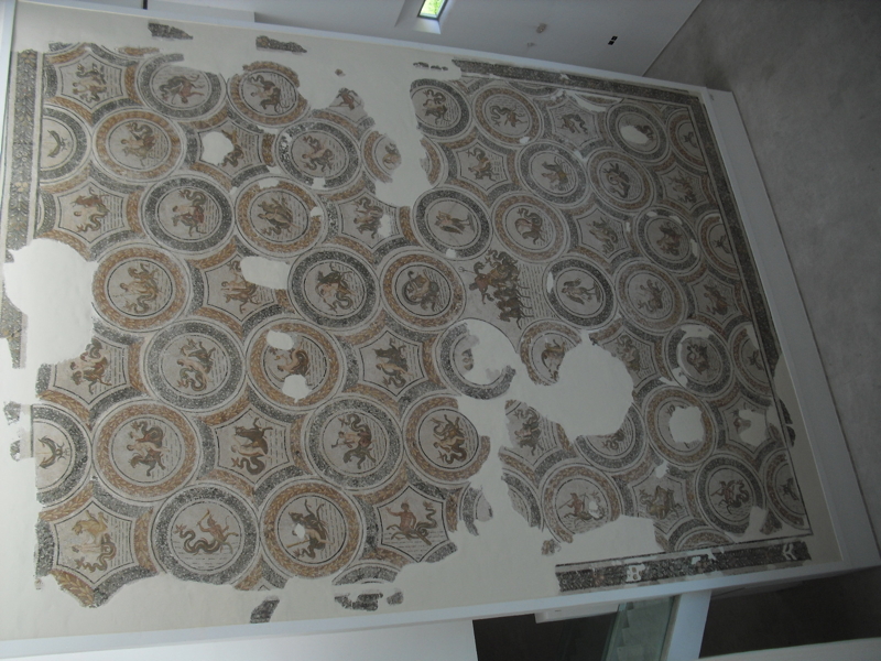 CIMG7701.JPG