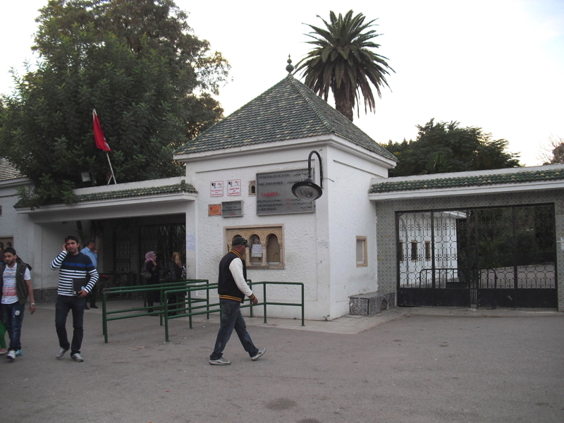 CIMG7732.JPG