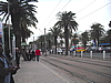 CIMG7650.JPG