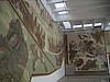 CIMG7709.JPG