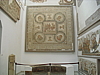 CIMG7715.JPG